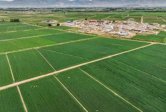 Agricultural operations